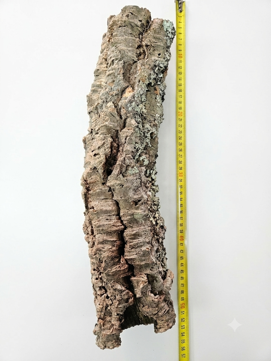 Tuba korkowa do terrarium ok. 45cm średnica otworu ok 6-7cm