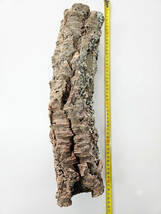 Tuba korkowa do terrarium ok. 45cm średnica otworu ok 6-7cm