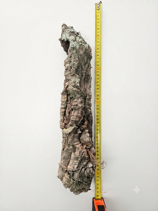 Tuba korkowa do terrarium ok. 43cm średnica otworu ok 5cm