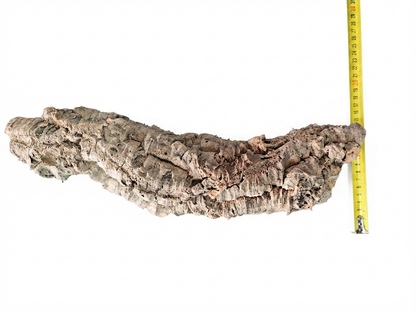 Tuba korkowa do terrarium ok. 42cm średnica otworu ok 6-7cm
