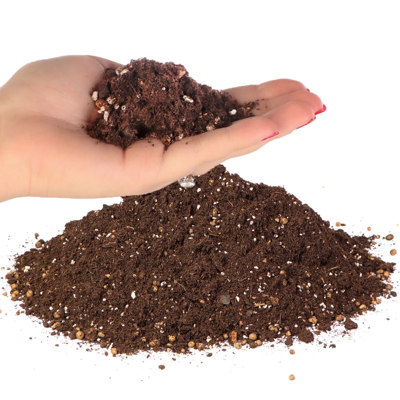 TERRARIO Supai Oya Soil Podłoże Ziemia dla Żółwi 6L 5kg