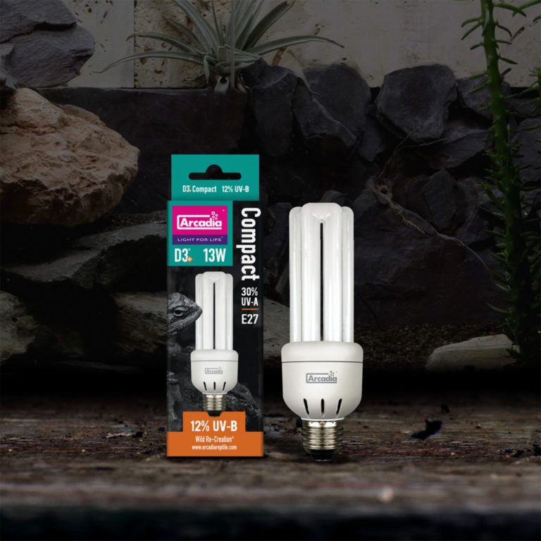 ARCADIA Żarówka Kompaktowa MINI Desert D3 12% UVB 13W E27 do Terrarium