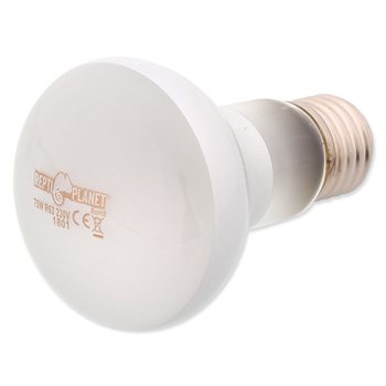 REPTI PLANET Daylight Frosted żarówka grzewcza dzienna mleczna Spot 75W do terrarium