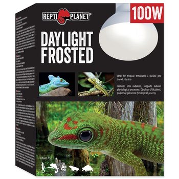 REPTI PLANET Daylight Frosted żarówka grzewcza dzienna mleczna Spot 100W do terrarium