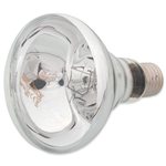 REPTI PLANET żarówka grzewcza dzienna DAYLIGHT BASKING Spot 150W